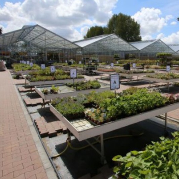 Tuincentrum Tropiflora krijgt 24.000 euro boete 